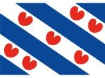 friese vlag 40 60cm