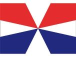 geusvlag 40 60cm