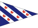 puntvlag friesland 20 30cm