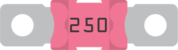cn vicip137250010