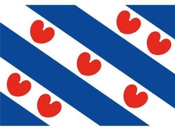 friese vlag 20 30cm