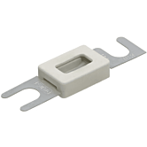 anl zekering wit 100a